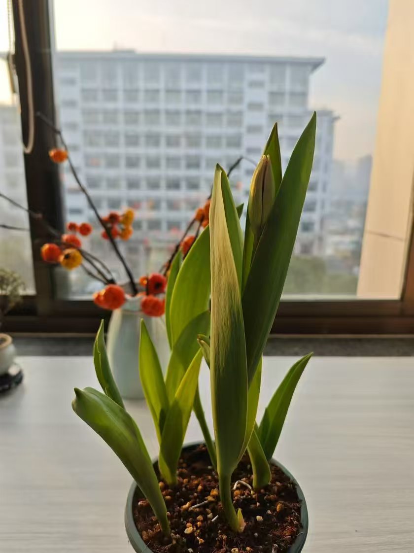 周菲菲.jpg